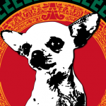 chihuahua-4_72res